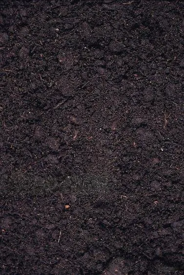 soil composition Image